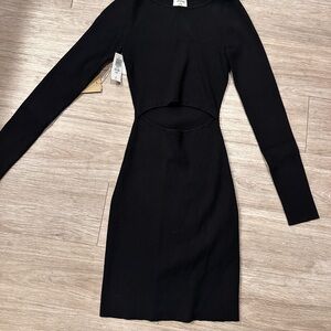 NWT Aritzia Sweater Dress